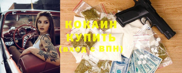 бошки Белокуриха