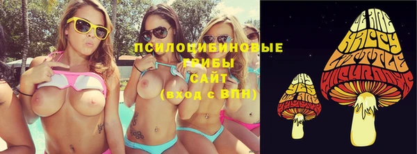 гашик Балабаново